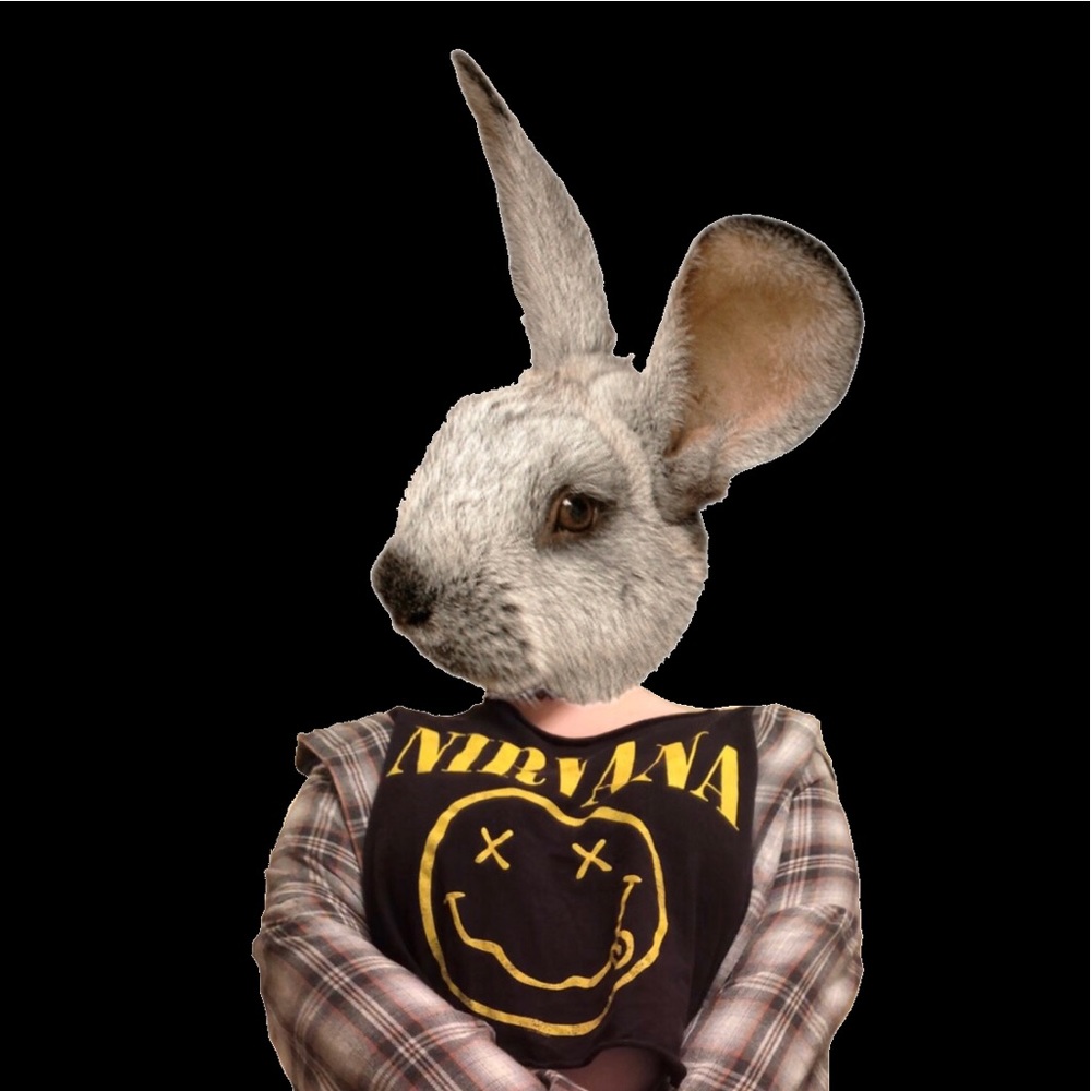Meet your Posher, Bunny